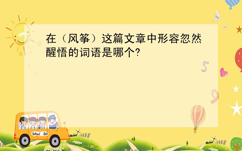 在（风筝）这篇文章中形容忽然醒悟的词语是哪个?