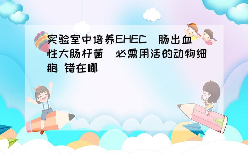 实验室中培养EHEC（肠出血性大肠杆菌）必需用活的动物细胞 错在哪