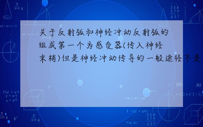 关于反射弧和神经冲动反射弧的组成第一个为感受器(传入神经末梢)但是神经冲动传导的一般途径不是由神经元的树突传向胞体再到轴突吗?刚学这一块 不太懂