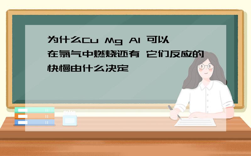 为什么Cu Mg Al 可以在氯气中燃烧还有 它们反应的快慢由什么决定