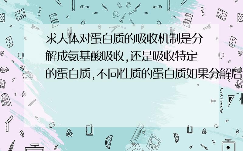 求人体对蛋白质的吸收机制是分解成氨基酸吸收,还是吸收特定的蛋白质,不同性质的蛋白质如果分解后含有相同的氨基酸,是否口服后对人体的作用相同?