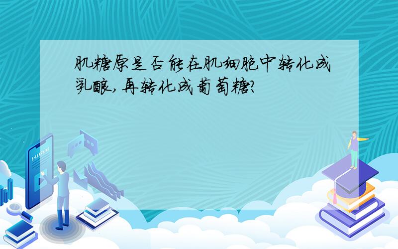 肌糖原是否能在肌细胞中转化成乳酸,再转化成葡萄糖?