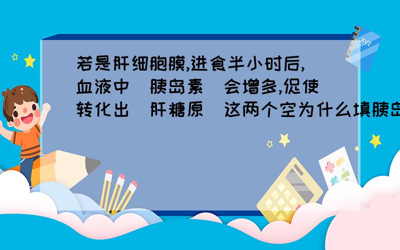 若是肝细胞膜,进食半小时后,血液中（胰岛素）会增多,促使转化出（肝糖原）这两个空为什么填胰岛素和肝糖原》