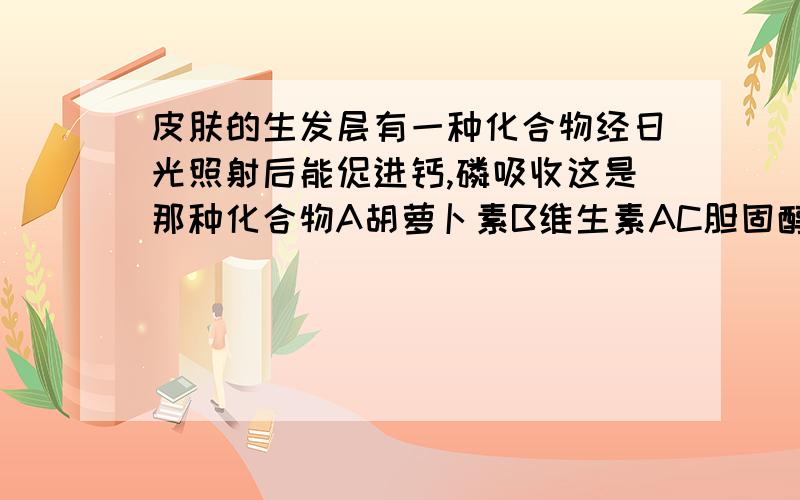 皮肤的生发层有一种化合物经日光照射后能促进钙,磷吸收这是那种化合物A胡萝卜素B维生素AC胆固醇D维生素D