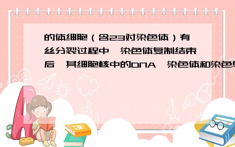 的体细胞（含23对染色体）有丝分裂过程中,染色体复制结束后,其细胞核中的DNA、染色体和染色单体数分别是说出过程和为什么