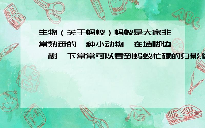 生物（关于蚂蚁）蚂蚁是大家非常熟悉的一种小动物,在墙脚边,树荫下常常可以看到蚂蚁忙碌的身影.你知道蚂蚁有哪些行为吗?（1）________________________________________（2）______________________________