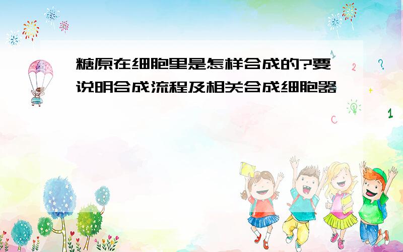 糖原在细胞里是怎样合成的?要说明合成流程及相关合成细胞器