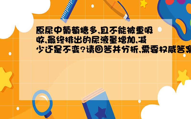 原尿中葡萄糖多,且不能被重吸收,最终排出的尿液量增加,减少还是不变?请回答并分析,需要权威答案,