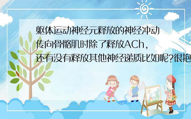 躯体运动神经元释放的神经冲动传向骨骼肌时除了释放ACh,还有没有释放其他神经递质比如呢?很抱歉没分了不能悬赏闰绍细胞产生的甘氨酸呢？算不算神经递质？