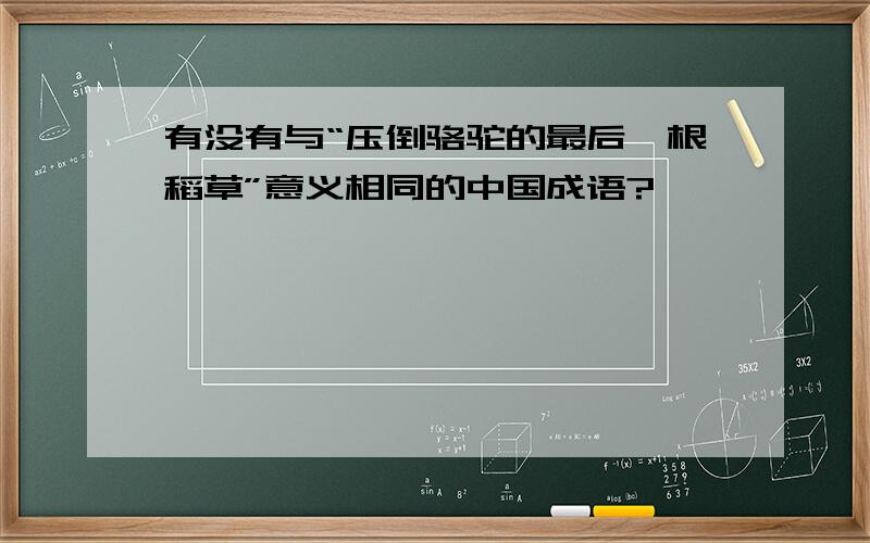 有没有与“压倒骆驼的最后一根稻草”意义相同的中国成语?