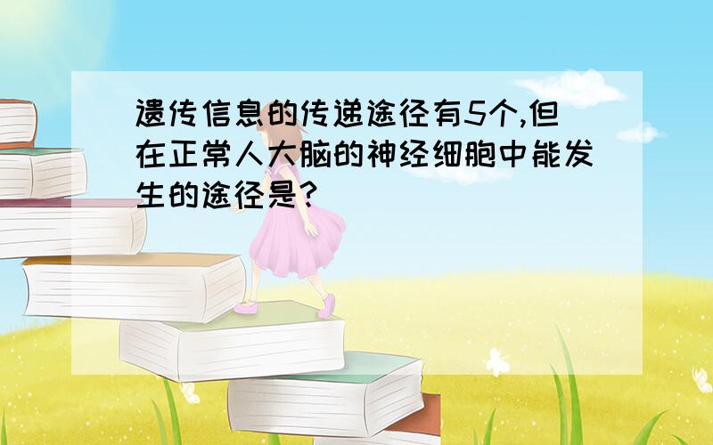 遗传信息的传递途径有5个,但在正常人大脑的神经细胞中能发生的途径是?