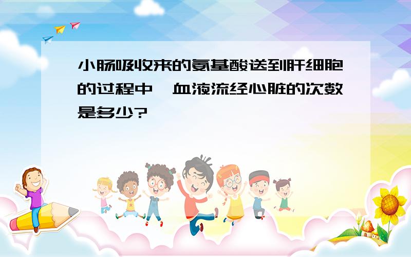 小肠吸收来的氨基酸送到肝细胞的过程中,血液流经心脏的次数是多少?