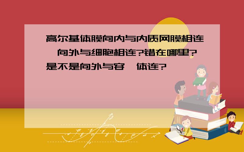 高尔基体膜向内与内质网膜相连,向外与细胞相连?错在哪里?是不是向外与容酶体连?