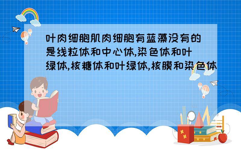 叶肉细胞肌肉细胞有蓝藻没有的是线粒体和中心体,染色体和叶绿体,核糖体和叶绿体,核膜和染色体