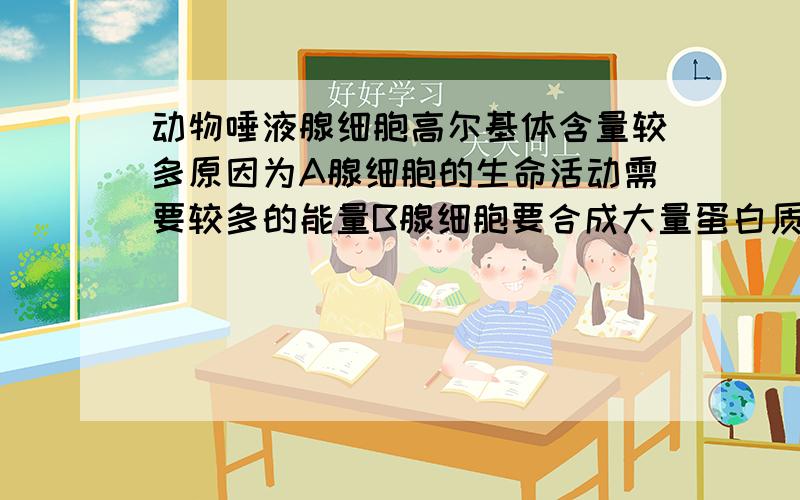 动物唾液腺细胞高尔基体含量较多原因为A腺细胞的生命活动需要较多的能量B腺细胞要合成大量蛋白质C高尔基体可以加工和转运蛋白质D高尔基体与细胞膜的主动运输有关我选B,答案选C,而且