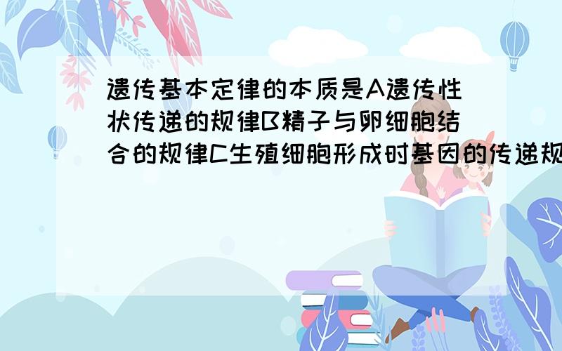 遗传基本定律的本质是A遗传性状传递的规律B精子与卵细胞结合的规律C生殖细胞形成时基因的传递规律D生物性状表现的一般规律