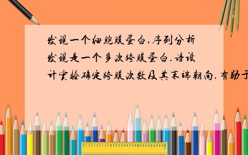 发现一个细胞膜蛋白,序列分析发现是一个多次跨膜蛋白.请设计实验确定跨膜次数及其末端朝向.有助于回答者给出准确的答案