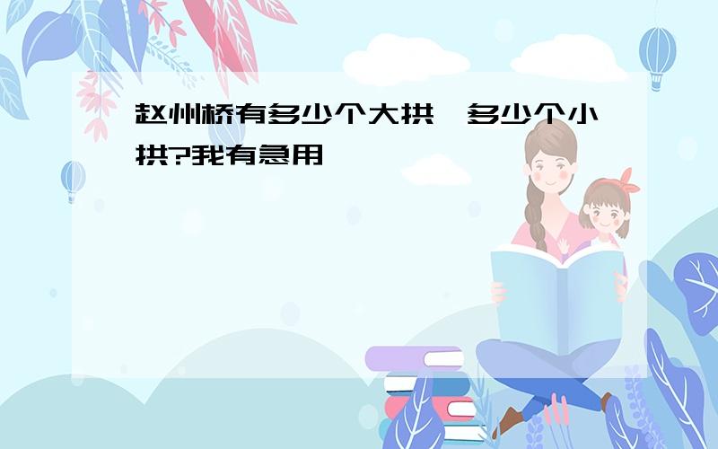 赵州桥有多少个大拱,多少个小拱?我有急用