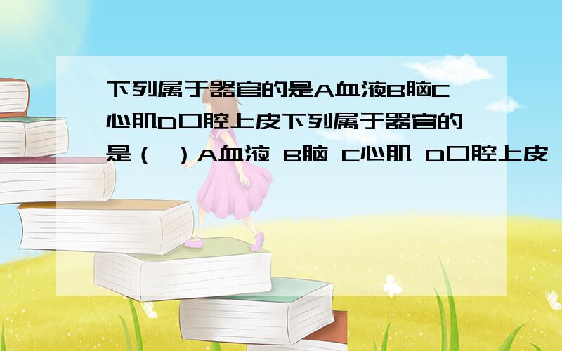 下列属于器官的是A血液B脑C心肌D口腔上皮下列属于器官的是（ ）A血液 B脑 C心肌 D口腔上皮