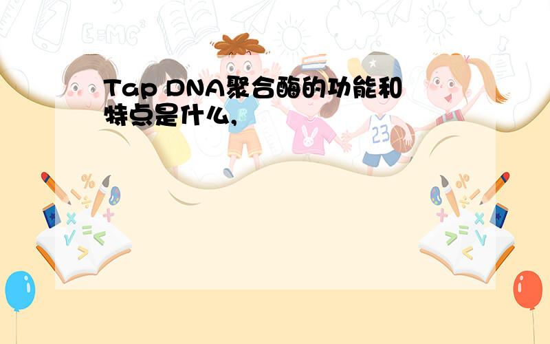 Tap DNA聚合酶的功能和特点是什么,