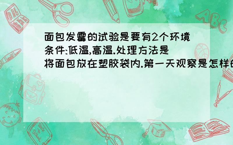 面包发霉的试验是要有2个环境条件:低温,高温.处理方法是将面包放在塑胶袋内.第一天观察是怎样的,第二天呢?第三天?第四天?