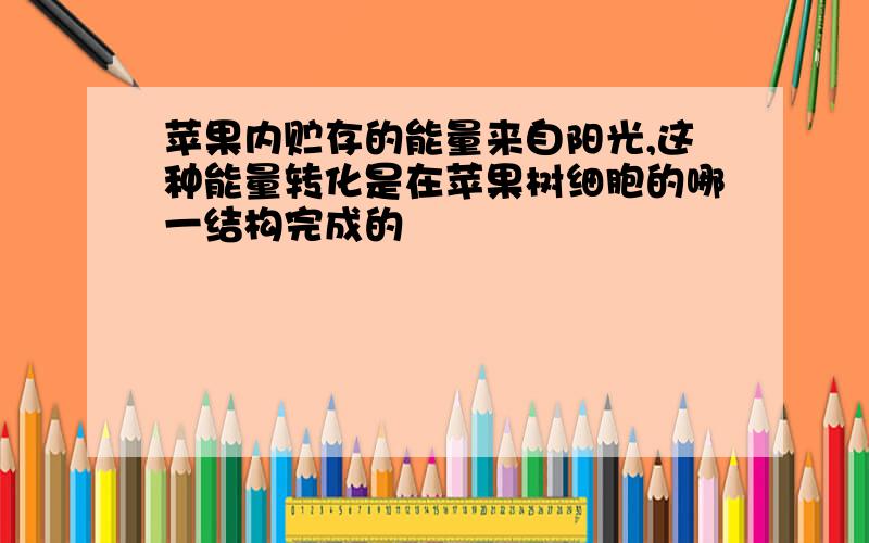 苹果内贮存的能量来自阳光,这种能量转化是在苹果树细胞的哪一结构完成的