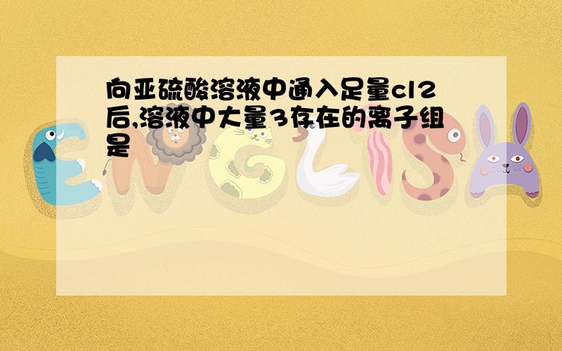 向亚硫酸溶液中通入足量cl2后,溶液中大量3存在的离子组是