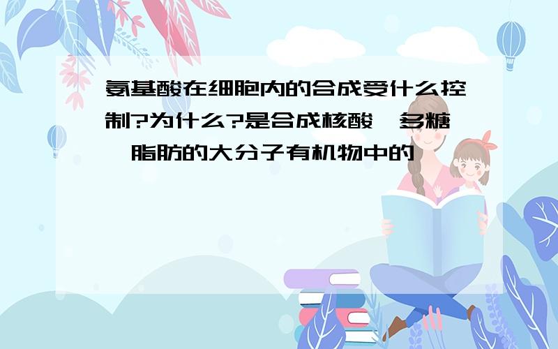 氨基酸在细胞内的合成受什么控制?为什么?是合成核酸,多糖,脂肪的大分子有机物中的