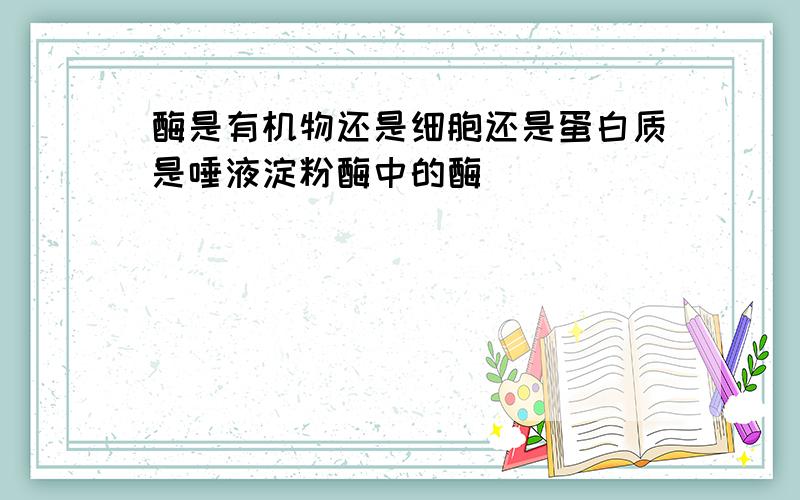 酶是有机物还是细胞还是蛋白质是唾液淀粉酶中的酶