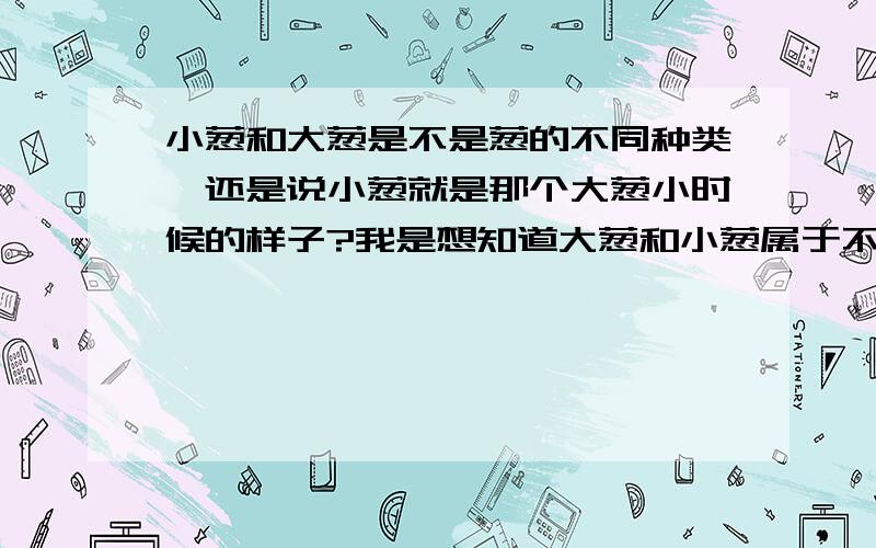 小葱和大葱是不是葱的不同种类,还是说小葱就是那个大葱小时候的样子?我是想知道大葱和小葱属于不属于同一种葱 .