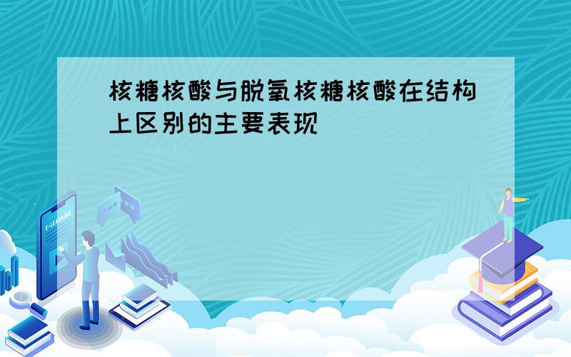 核糖核酸与脱氧核糖核酸在结构上区别的主要表现()