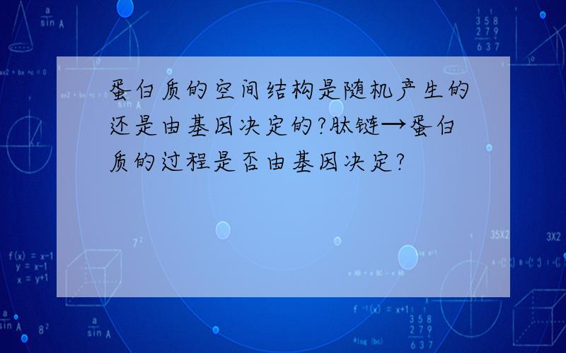 蛋白质的空间结构是随机产生的还是由基因决定的?肽链→蛋白质的过程是否由基因决定?