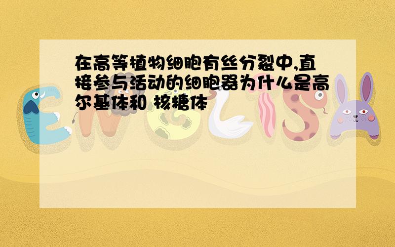 在高等植物细胞有丝分裂中,直接参与活动的细胞器为什么是高尔基体和 核糖体