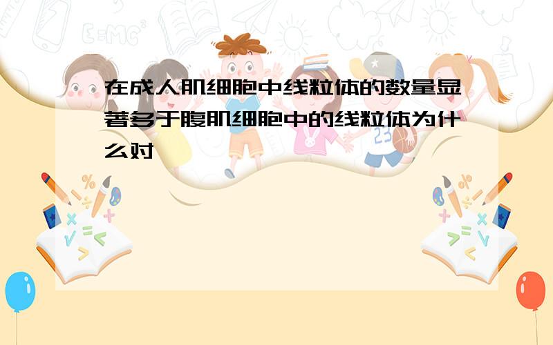 在成人肌细胞中线粒体的数量显著多于腹肌细胞中的线粒体为什么对