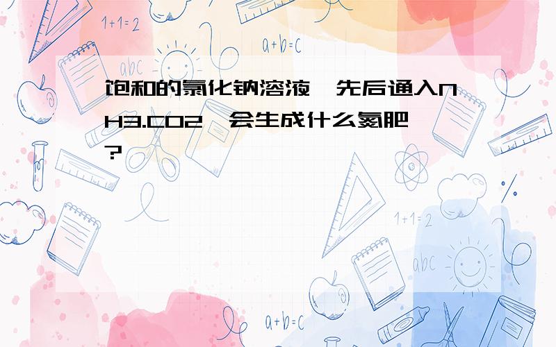 饱和的氯化钠溶液,先后通入NH3.CO2,会生成什么氮肥?