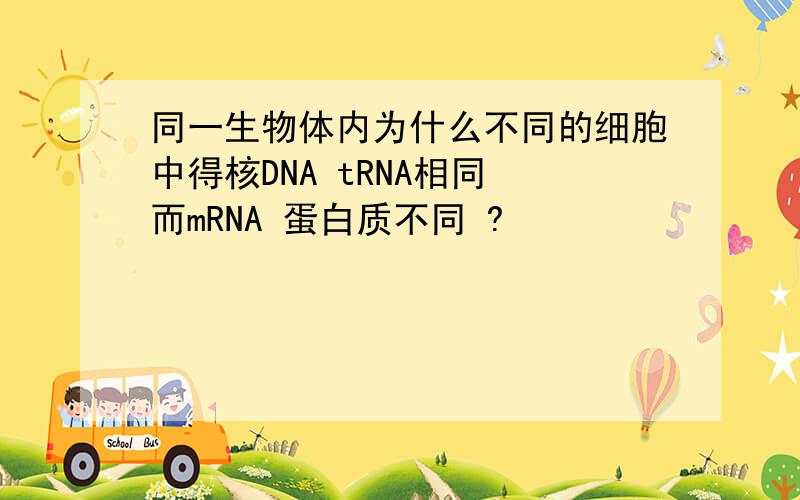 同一生物体内为什么不同的细胞中得核DNA tRNA相同 而mRNA 蛋白质不同 ?