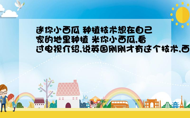 迷你小西瓜 种植技术想在自己家的地里种植 米你小西瓜,看过电视介绍,说英国刚刚才有这个技术,西瓜大小跟大手指那么大,可以连皮一起吃,味道有黄瓜的味道,不知道那里有这个技术那里能