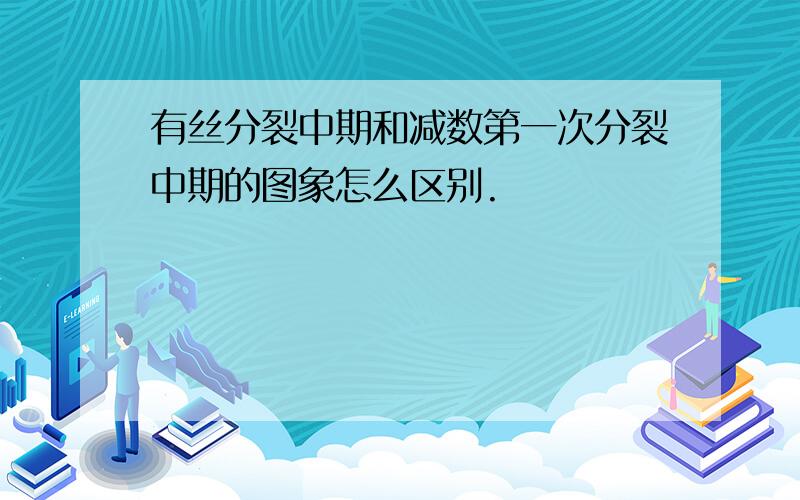 有丝分裂中期和减数第一次分裂中期的图象怎么区别.