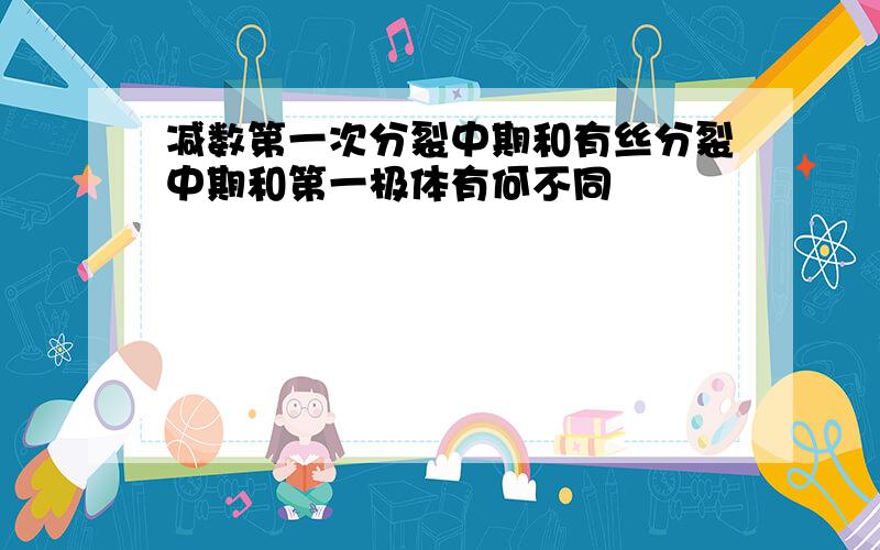 减数第一次分裂中期和有丝分裂中期和第一极体有何不同