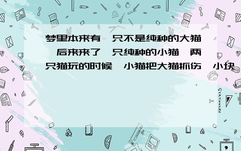 梦里本来有一只不是纯种的大猫,后来来了一只纯种的小猫,两只猫玩的时候,小猫把大猫抓伤一小块,过了一段时间后发现大猫伤口裂成了整个背那么长,送去医院治后来还是死了.