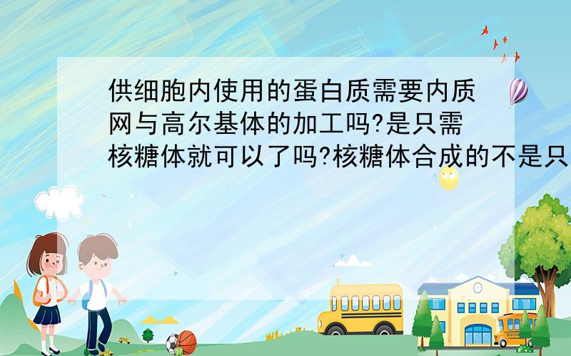 供细胞内使用的蛋白质需要内质网与高尔基体的加工吗?是只需核糖体就可以了吗?核糖体合成的不是只是肽链吗？肽链是蛋白质吗？