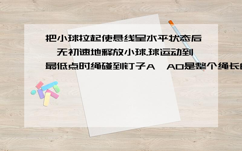 把小球拉起使悬线呈水平状态后,无初速地释放小球.球运动到最低点时绳碰到钉子A,AO是整个绳长的2/3,以下说法正确的是    A．碰到钉子A后悬线对球的拉力是碰到钉子前的3倍    B．碰到钉子A