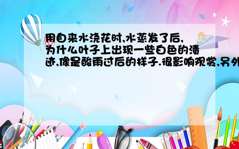 用自来水浇花时,水蒸发了后,为什么叶子上出现一些白色的渍迹,像是酸雨过后的样子.很影响观赏,另外,有没有坏处呀?这些渍迹是什么性质的?