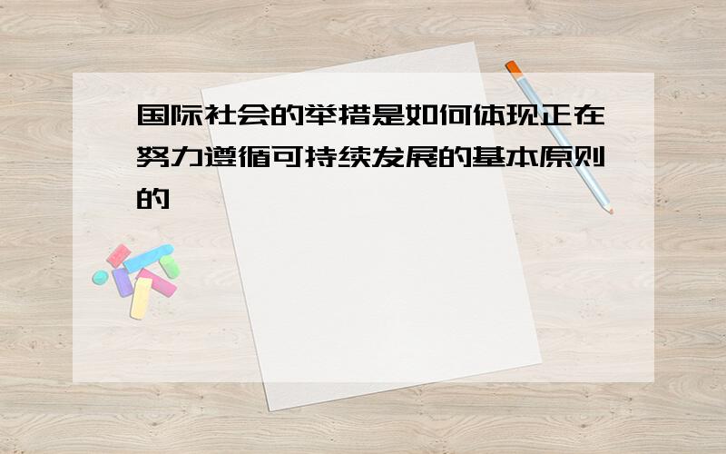 国际社会的举措是如何体现正在努力遵循可持续发展的基本原则的