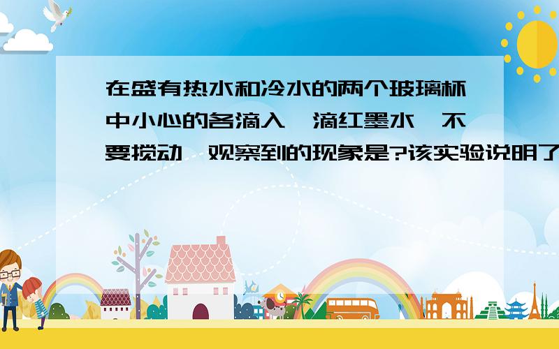 在盛有热水和冷水的两个玻璃杯中小心的各滴入一滴红墨水,不要搅动,观察到的现象是?该实验说明了?