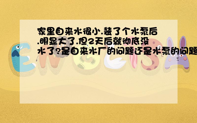 家里自来水很小.装了个水泵后.明显大了.但2天后就彻底没水了?是自来水厂的问题还是水泵的问题?现在开水泵也没水.一滴都没.周围的邻居却有.怎么回事?我家是自建的.不是楼上楼下那种