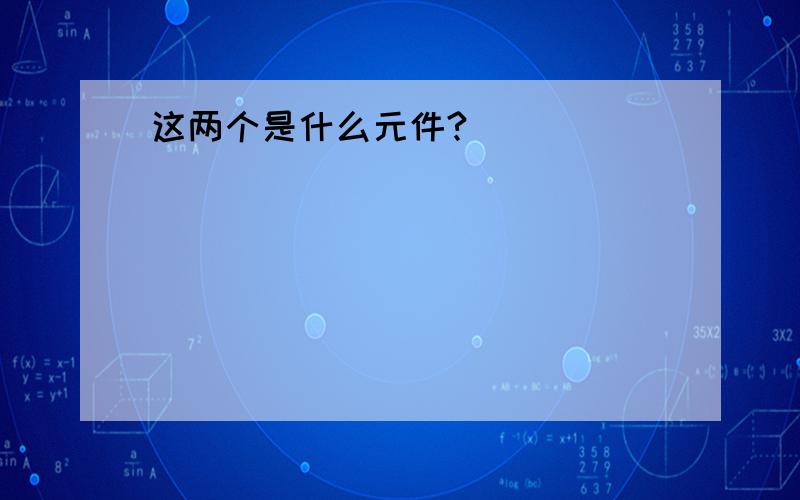 这两个是什么元件?