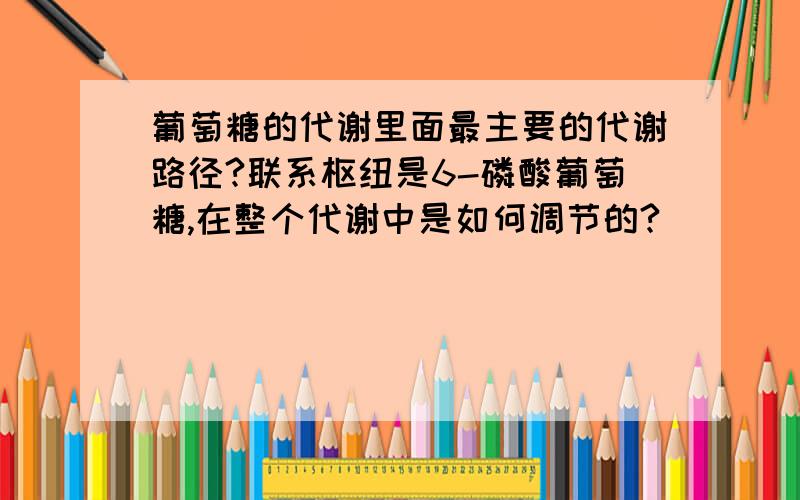 葡萄糖的代谢里面最主要的代谢路径?联系枢纽是6-磷酸葡萄糖,在整个代谢中是如何调节的?