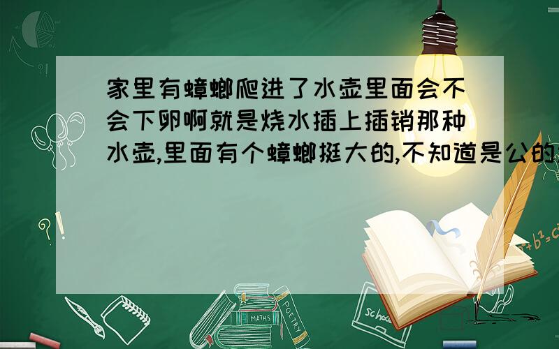 家里有蟑螂爬进了水壶里面会不会下卵啊就是烧水插上插销那种水壶,里面有个蟑螂挺大的,不知道是公的还是母的,我该怎么烧水啊?这水壶还能用吗?