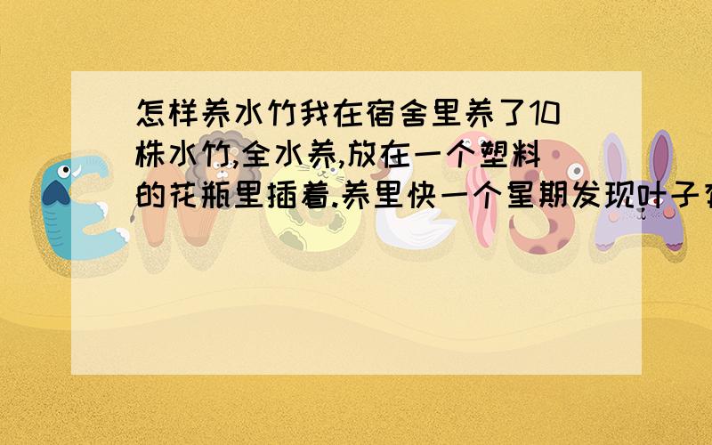 怎样养水竹我在宿舍里养了10株水竹,全水养,放在一个塑料的花瓶里插着.养里快一个星期发现叶子有点变黄;我想知道要怎么弄它才可以长的好些;水养需不需要给水竹换水;水竹施肥用什么东